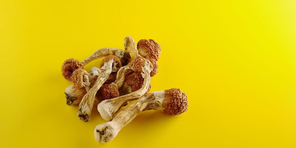 Buy Psychedelics Online Canada